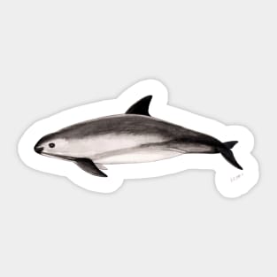 Vaquita Sticker